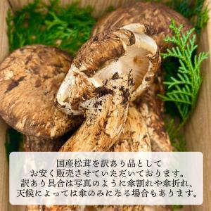 国産 松茸 訳あり 家庭用 100g 国産 長...の詳細画像3
