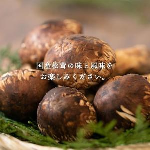 国産 松茸 訳あり 家庭用 100g 国産 長...の詳細画像4