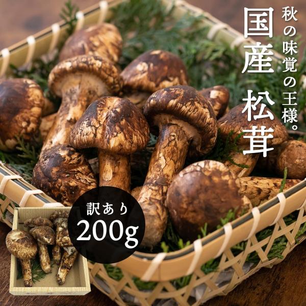 国産 松茸 訳あり 家庭用 200g 国産 長野県 他 マツタケ まつたけ