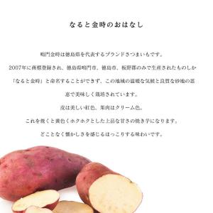さつまいも 鳴門金時 5kg 送料無料 徳島県...の詳細画像1