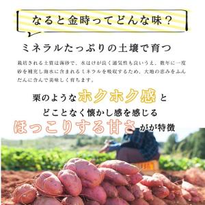 さつまいも 鳴門金時 5kg 送料無料 徳島県...の詳細画像2