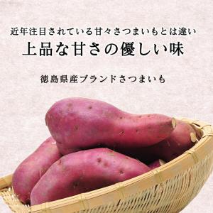 さつまいも 鳴門金時 5kg 送料無料 徳島県...の詳細画像3