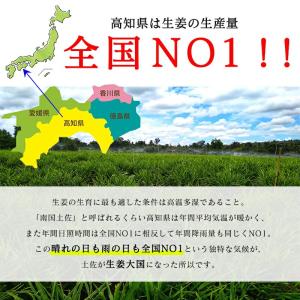 黄金生姜 1kg 国産 生姜 黄金しょうが 高...の詳細画像2