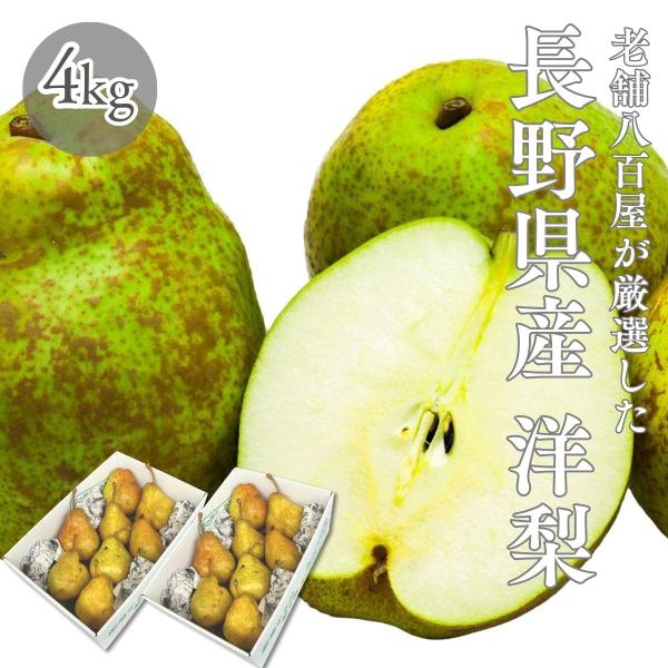 洋梨 訳あり 長野県産 4kg 品種混在 品種お任せ ラ・フランス ル・レクチェ オーロラ 洋ナシ ...