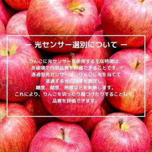 りんご 特選 糖度13.5度以上 ギフト 化粧...の詳細画像3