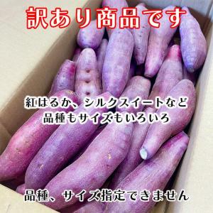 さつまいも 5kg 訳あり 送料無料 詰め合わ...の詳細画像1