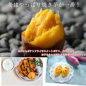 さつまいも 5kg 訳あり 送料無料 詰め合わ...の詳細画像2