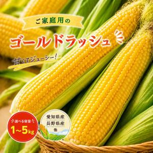 とうもろこし ゴールドラッシュ ご家庭用 1kg 2kg 3kg 5kg 愛知県産 長野県産など 訳あり トウモロコシ 大きさ おまかせ 国産