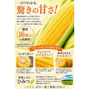 とうもろこし ゴールドラッシュ ご家庭用 1k...の詳細画像1