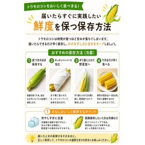 とうもろこし ゴールドラッシュ ご家庭用 1k...の詳細画像3