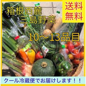 　約10〜13品目　箱根西麓三島野菜 詰め合わせ（北海道・沖縄は別途送料）