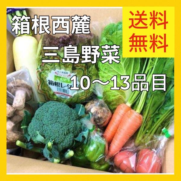 送料無料　約10〜13品目　箱根西麓三島野菜 詰め合わせ（北海道・沖縄は別途送料）