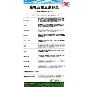 クール便送料無料 約10〜13品目 箱根西麓三...の詳細画像2