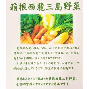 クール便送料無料 約10〜13品目 箱根西麓三...の詳細画像3
