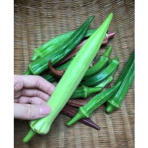 クール便送料無料 もったいない野菜セット【訳あ...の詳細画像3