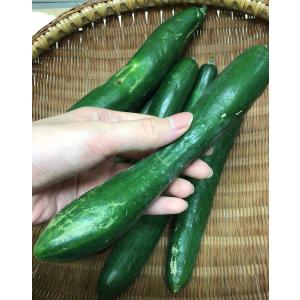 クール便送料無料 もったいない野菜セット【訳あ...の詳細画像4