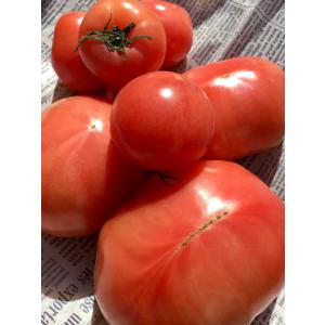 クール便送料無料 もったいない野菜セット【訳あ...の詳細画像5