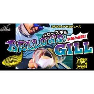 レジットデザイン ワイルドサイド WSC65MH “Frog Game