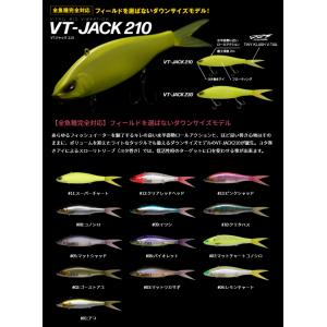 Fish Arrow（フィッシュアロー） VT-JACK 210(VT ジャック 210) DRT