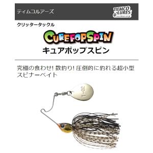 DAIWA（ダイワ） 【取り寄せ商品】ダイワ SLP WORKS 20 ソルティガ