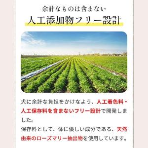 【公式】【2kg×3袋】フェイヴワン FAVE...の詳細画像1