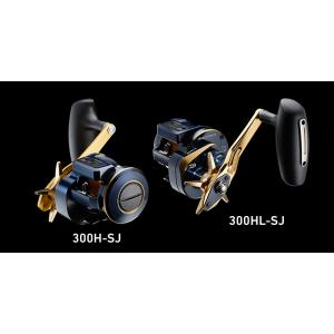 ダイワ　ソルティガIC300ＨＬ-SJ DAIWA（ダイワ） ソルティガ SALTIGA IC 300HL-SJ : MIshop - 通販