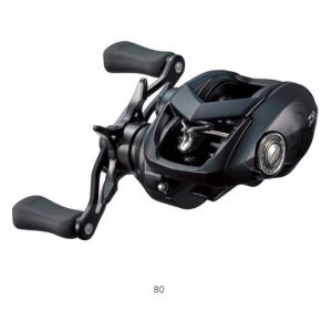 DAIWA（釣り） ダイワ 19 タトゥーラ TW 100SH / TATULA ベイト