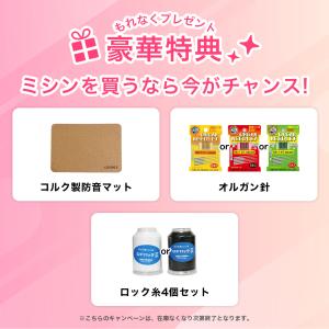 JUKI ジューキ MO-3000 2本針4本...の詳細画像1