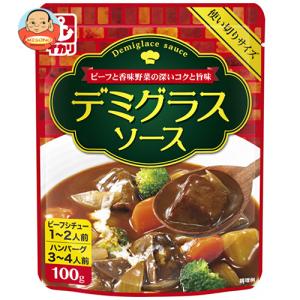 イカリソース デミグラスソース 100g×10袋入