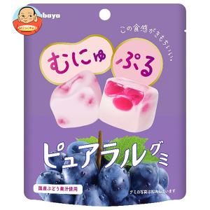 カルビー（Calbee） ポテトチップス うすしお味 55g×16袋入 メーカー