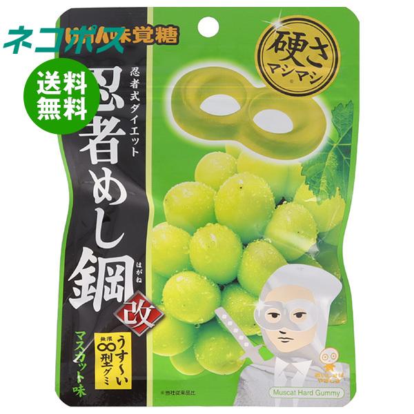 ネコポス UHA味覚糖 忍者めし鋼 マスカット味 45g×10袋入｜ 全国送料無料