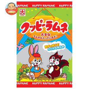 カクダイ製菓 クッピーラムネ 64g×20袋入×(2ケース)｜ 送料無料