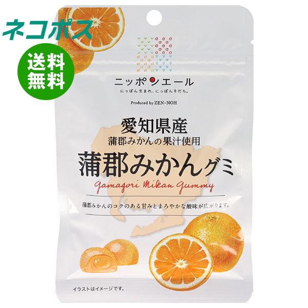 ネコポス JA全農 ニッポンエール 愛知県産蒲郡みかん グミ 40g×10袋入｜ 全国送料無料