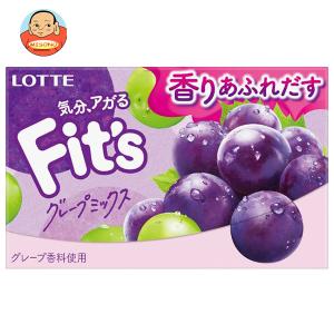 ロッテ（LOTTE） Fit's（フィッツ）甘欲のあんバター 12枚×10個