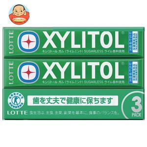 ロッテ（LOTTE） キシリトールガム フレッシュミント【特定保健用食品
