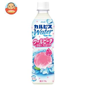 ハウス食品 キャップ付きドリンクベース チャイ 800g 業務用×6個セット
