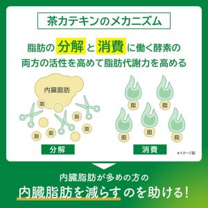 キリン ヘルシア 緑茶【特定保健用食品 特保】...の詳細画像5