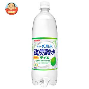 伊賀の天然水炭酸水 ライム サンガリア 伊賀の天然水 強炭酸水