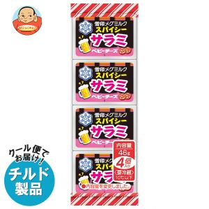 送料無料 【チルド(冷蔵)商品】雪印メグミルク スパイシーサラミ ベビーチーズ 46g(4個)×15個入｜misono-support