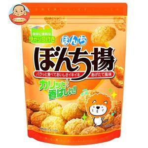 ぼんち ぼんち揚 チャック付 100g入 1袋 ぼんち（株） : 善野菓子店