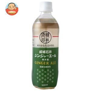 北野インド会社 ソルトシェーカー 希少＆美品 北野インド会社 ソルトシェーカー 希少＆美品