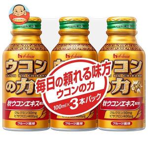 ハウスウェルネス ウコンの力 ウコンエキスドリンク 100mlボトル缶×30(3P×10)本入｜misono-support