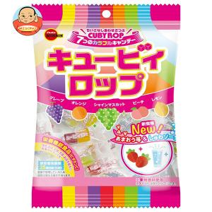 ブルボン キュービーロップ 100g×10個入｜misono-support