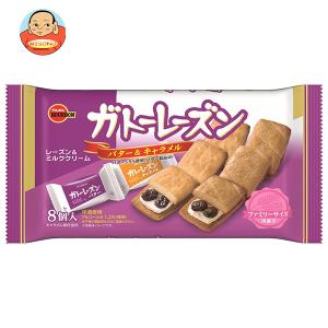 ブルボン ガトーレーズン FS(ファミリーサイズ) 8個入×12袋入｜misono-support