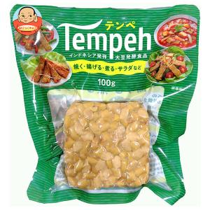 ヤマク食品 テンペ 100g×10袋入| 送料別の商品画像
