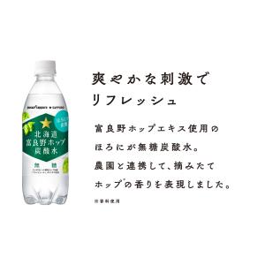 ポッカサッポロ 北海道 富良野 ホップ 炭酸水...の詳細画像4