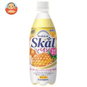 サポートHai 大ビン ( 約100粒 )/ ホメオパシージャパンレメディー