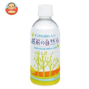 ハイピース 越前の自然水 330mlPET×24本入