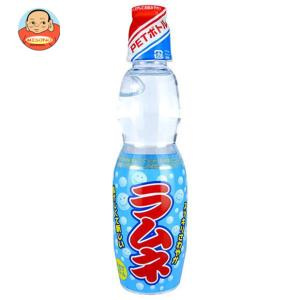 大川食品工業 ペットラムネ  250mlペットボトル×30本入