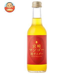 友桝飲料 宮崎マンゴーサイダー 245ml瓶×2...の商品画像